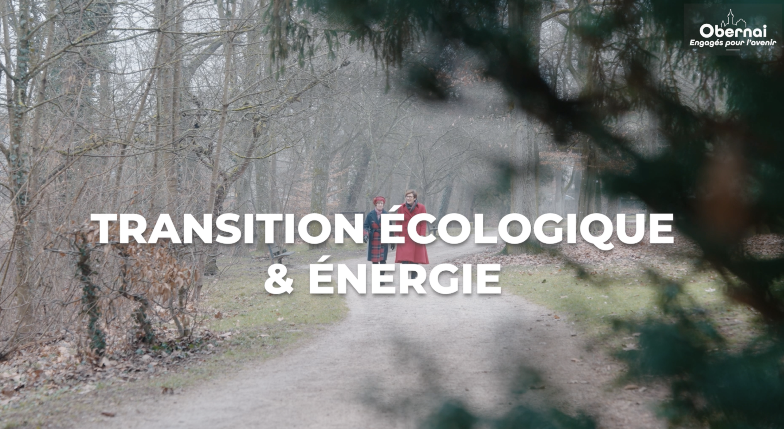 Transition écologique
